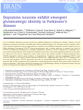 Cover page: Dopamine neurons exhibit emergent glutamatergic identity in Parkinson's disease.