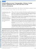 Cover page: Immunofluorescence Tomography of Mouse Ocular Surface Epithelial Stem Cells and Their Niche MicroenvironmentMouse Ocular Surface Epithelial Stem Cells