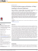 Cover page: Compound Heterozygous Mutation of Rag1 Leading to Omenn Syndrome