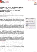 Cover page: Cooperation of the Ebola Virus Proteins VP40 and GP1,2 with BST2 To Activate NF-κB Independently of Virus-Like Particle Trapping