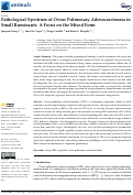 Cover page: Pathological Spectrum of Ovine Pulmonary Adenocarcinoma in Small Ruminants: A Focus on the Mixed Form.