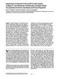 Cover page: Interactions of a neuronal cell line (PC12) with laminin, collagen IV, and fibronectin: identification of integrin-related glycoproteins involved in attachment and process outgrowth.