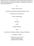 Cover page: Spatial Frustration: Using Pharmacological and Mechanical Disruption of Membrane Receptor Transport to Probe Cell Signaling Dynamics on Supported Lipid Bilayers