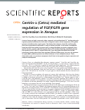 Cover page: Centrin-2 (Cetn2) mediated regulation of FGF/FGFR gene expression in Xenopus