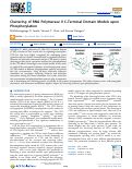 Cover page: Clustering of RNA Polymerase II C-Terminal Domain Models upon Phosphorylation.