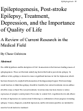Cover page: Epileptogenesis, post-stroke epilepsy, treatment, depression, and the importance of quality of life. A review of current research in the medical field