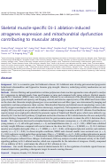 Cover page: Skeletal muscle-specific DJ-1 ablation-induced atrogenes expression and mitochondrial dysfunction contributing to muscular atrophy.