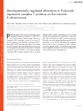 Cover page: Developmentally regulated alterations in Polycomb repressive complex 1 proteins on the inactive X chromosome