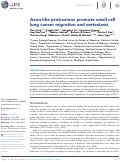 Cover page: Axon-like protrusions promote small cell lung cancer migration and metastasis