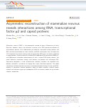 Cover page: Asymmetric reconstruction of mammalian reovirus reveals interactions among RNA, transcriptional factor µ2 and capsid proteins