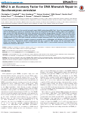 Cover page: Mlh2 Is an Accessory Factor for DNA Mismatch Repair in Saccharomyces cerevisiae