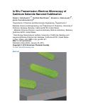 Cover page: In Situ Transmission Electron Microscopy of Cadmium Selenide Nanorod Sublimation