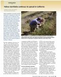 Cover page: Yellow starthistle continues its spread in California