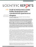 Cover page: Small secreted proteins enable biofilm development in the cyanobacterium Synechococcus elongatus