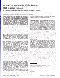 Cover page: In vitro reconstitution of the human RISC-loading complex