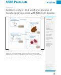 Cover page: Isolation, culture, and functional analysis of hepatocytes from mice with fatty liver disease.