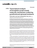 Cover page: Transcriptome analysis of Drosophila suzukii reveals molecular mechanisms conferring pyrethroid and spinosad resistance.