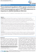 Cover page: Transcriptional regulation of the grape cytochrome P450 monooxygenase gene CYP736B expression in response to Xylella fastidiosa infection
