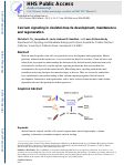 Cover page: Calcium signaling in skeletal muscle development, maintenance and regeneration