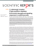 Cover page: β1-adrenergic receptor O-glycosylation regulates N-terminal cleavage and signaling responses in cardiomyocytes