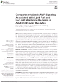 Cover page: Compartmentalized cAMP Signaling Associated With Lipid Raft and Non-raft Membrane Domains in Adult Ventricular Myocytes