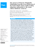 Cover page: New species of Ontocetus (Pinnipedia: Odobenidae) from the Lower Pleistocene of the North Atlantic shows similar feeding adaptation independent to the extant walrus (Odobenus rosmarus).