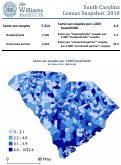 Cover page: South Carolina Census Snapshot: 2010
