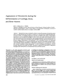 Cover page: Appearance of fibronectin during the differentiation of cartilage, bone, and bone marrow.