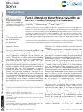 Cover page: Fungal siderophore biosynthesis catalysed by an iterative nonribosomal peptide synthetase