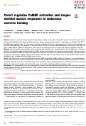 Cover page: Perm1 regulates CaMKII activation and shapes skeletal muscle responses to endurance exercise training