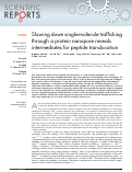 Cover page: Slowing down single-molecule trafficking through a protein nanopore reveals intermediates for peptide translocation