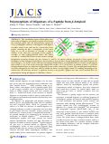 Cover page: Polymorphism of oligomers of a peptide from β-amyloid.