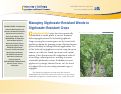 Cover page: Managing Glyphosate-Resistant Weeds in Glyphosate-Resistant Crops
