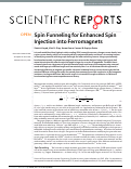 Cover page: Spin Funneling for Enhanced Spin Injection into Ferromagnets
