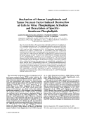 Cover page: Mechanism of human lymphotoxin and tumor necrosis factor induced destruction of cells in vitro: Phospholipase activation and deacylation of specific‐membrane phospholipids