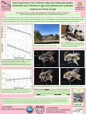 Cover page: Exploring Pilosity in the California Native Bee Melissodes tepidus timberlakei as an Indicator of Age and Implications for Pollinator Response to Climate Change