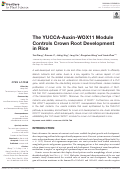 Cover page: The YUCCA-Auxin-WOX11 Module Controls Crown Root Development in Rice.