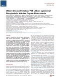 Cover page: Wilson Disease Protein ATP7B Utilizes Lysosomal Exocytosis to Maintain Copper Homeostasis