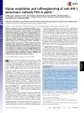 Cover page: Glycan modulation and sulfoengineering of anti–HIV-1 monoclonal antibody PG9 in plants