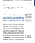 Cover page: Key Issues Hindering a Practical Lithium-Metal Anode