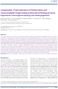 Cover page: Comparative Transcriptomics of Steinernema and Caenorhabditis Single Embryos Reveals Orthologous Gene Expression Convergence during Late Embryogenesis.