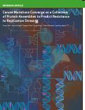 Cover page: Cancer Mutations Converge on a Collection of Protein Assemblies to Predict Resistance to Replication Stress.