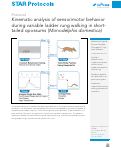 Cover page: Kinematic analysis of sensorimotor behavior during variable ladder rung walking in short-tailed opossums (Monodelphis domestica)