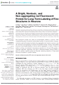 Cover page: A Bright, Nontoxic, and Non-aggregating red Fluorescent Protein for Long-Term Labeling of Fine Structures in Neurons.