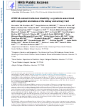 Cover page: DYRK1A-related intellectual disability: a syndrome associated with congenital anomalies of the kidney and urinary tract.