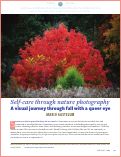 Cover page: Self-care through nature photography: A visual journey through fall with a queer eye