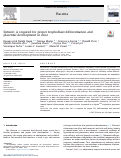 Cover page: Sirtuin1 is required for proper trophoblast differentiation and placental development in mice