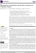 Cover page: Mitochondrial Autoantibodies and the Role of Apoptosis in Pemphigus Vulgaris