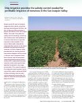 Cover page: Drip irrigation provides the salinity control needed for profitable irrigation of tomatoes in the San Joaquin Valley