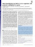 Cover page: DNA demethylation by ROS1a in rice vegetative cells promotes methylation in sperm